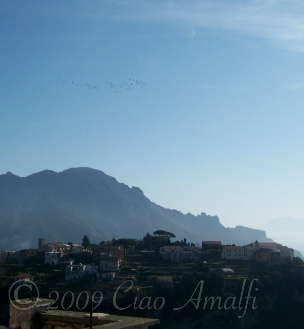 Hearing Ancient Birdsongs on the Amalfi Coast