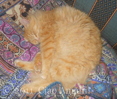 Ciao Amalfi Coast Blog Sleeping Puffy