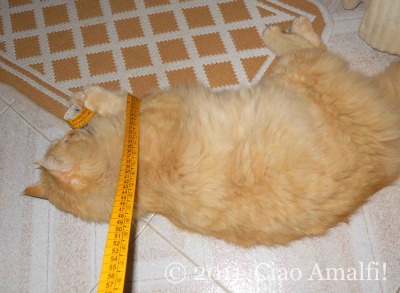 Ciao Amalfi Coast Blog Positano Beach Bag Puffy Craft Helper