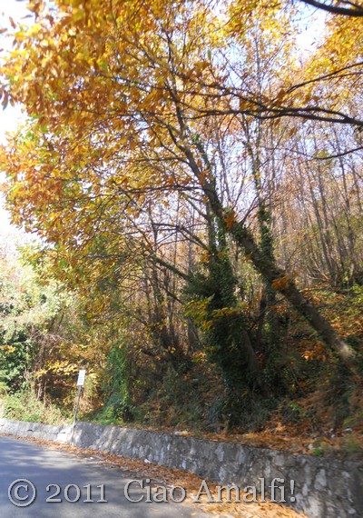 Ciao Amalfi Coast Blog Road Home 2 Autumn drive on the Amalfi Coast