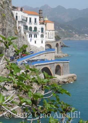 Ciao Amalfi Coast Blog Atrani Figs Figs Growing on the Amalfi Coast in Atrani