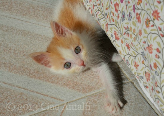 Monday Little One