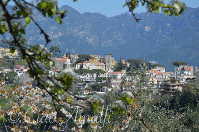 Amalfi Coast Travel Ravello April Blossoms