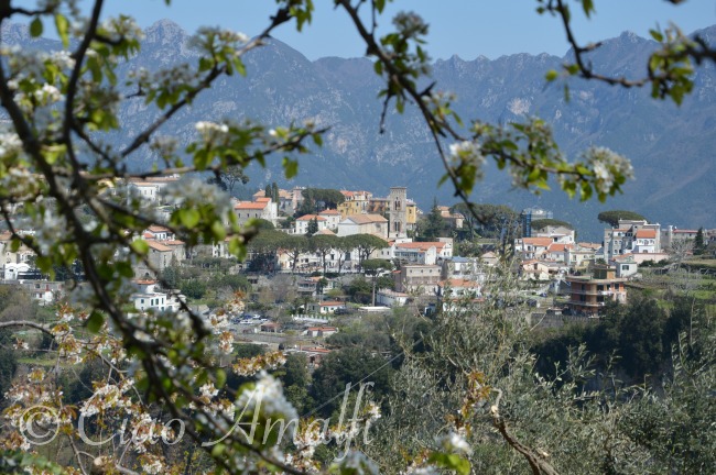 Amalfi Coast Travel Ravello Through Blossoms