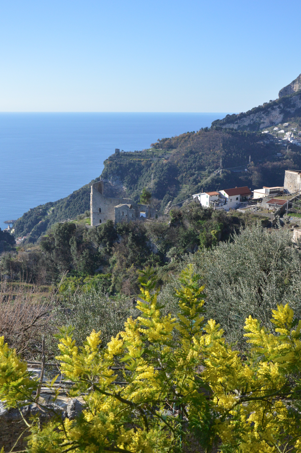 Amalfi Coast Travel Spring Mimosa-1
