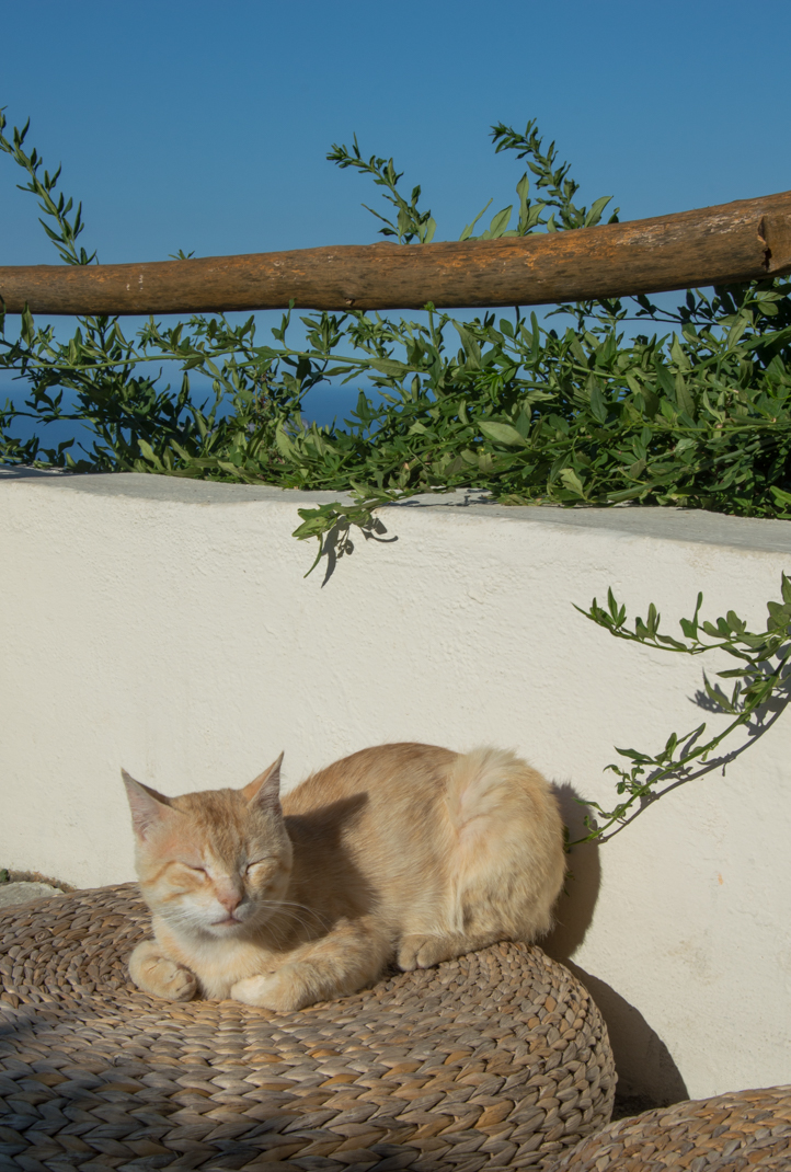 positano-yoga-retreat-13