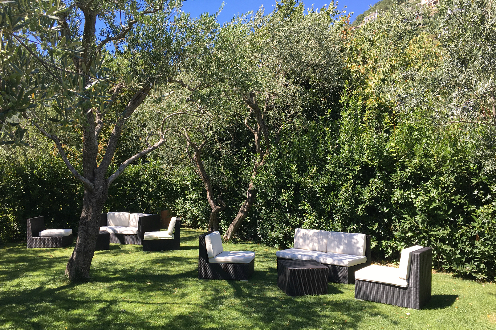 Trattoria da Lorenzo Garden with Olive Trees