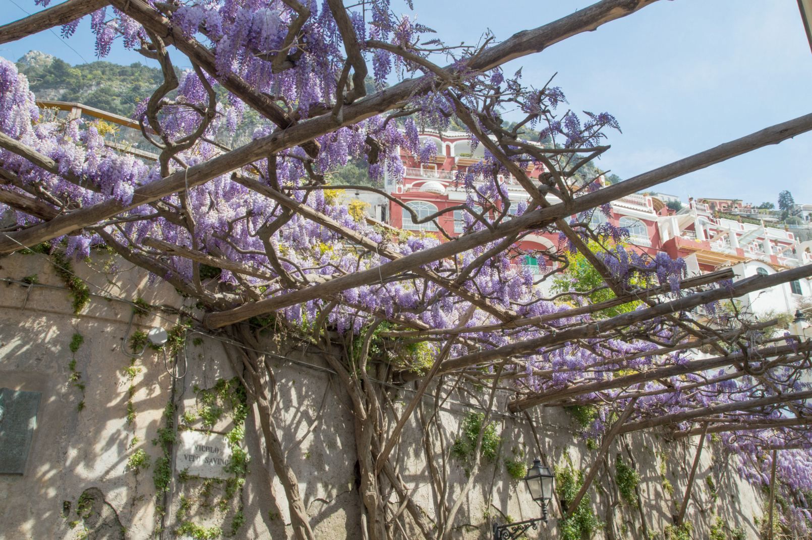 ciao-amalfi-positano-wisteria-2