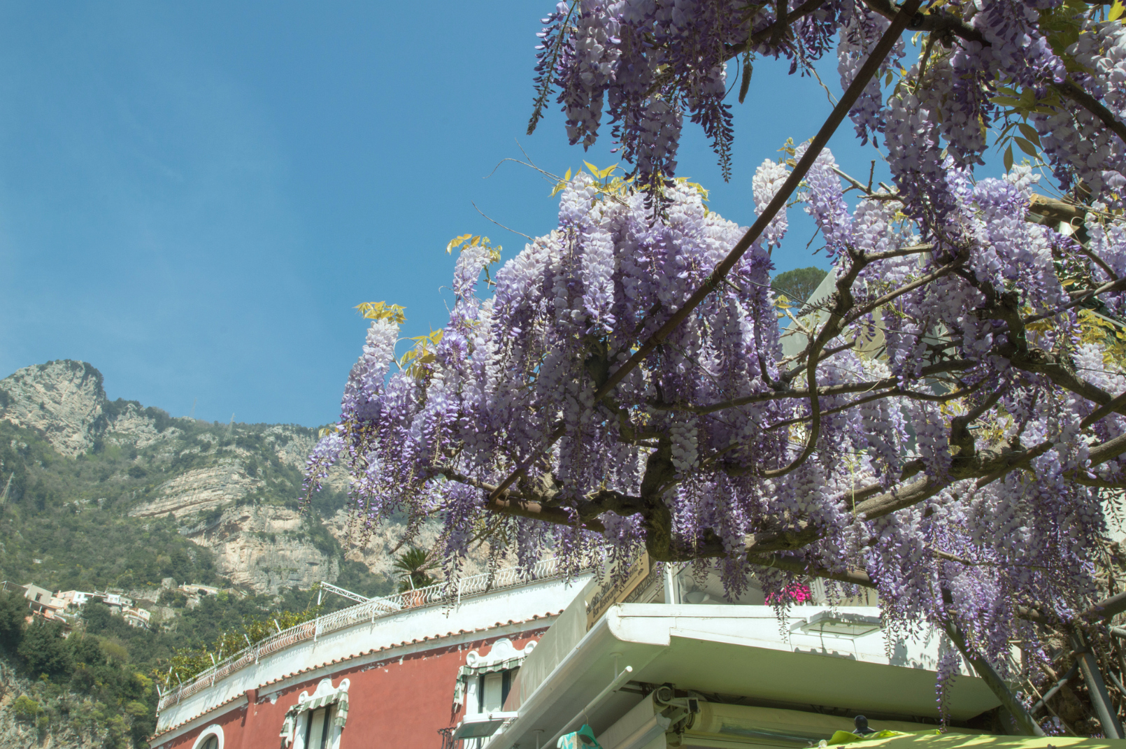 ciao-amalfi-positano-wisteria-3