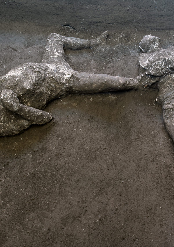 Life in Plaster: New Discoveries from Pompeii