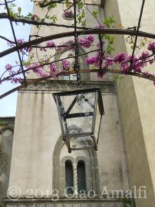 Ciao Amalfi Coast Travel Ravello Villa Cimbrone Pink Blossoms Tower