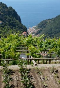 Amalfi Coast Travel Garden Terrace