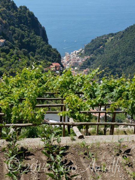 Amalfi Coast Travel Garden Terrace