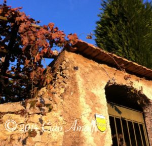 Amalfi Coast Travel Autumn Colors