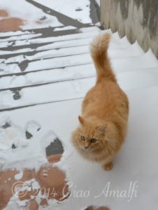 Amalfi Coast Travel Puffy Snow