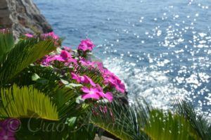 Amalfi Coast Travel Marina di Praia Flowers