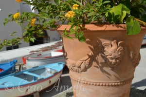 Amalfi Coast Travel Marina di Praia Priano Flower Vase