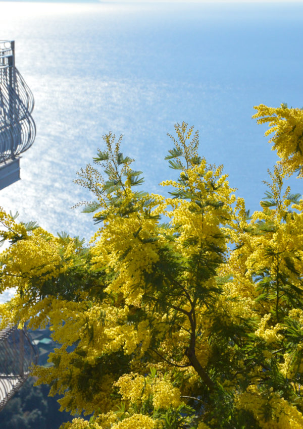 A Straight Shot of Spring on the Amalfi Coast