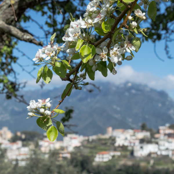 Amalfi Coast Travel May-2