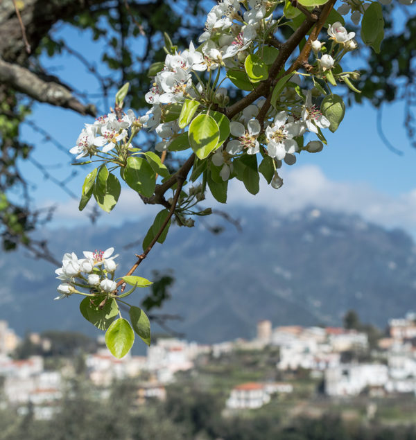 Amalfi Coast Travel May-2