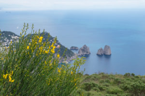 Amalfi Coast Travel May-3
