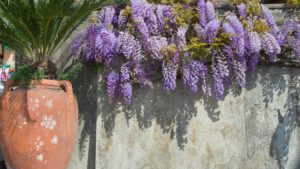 amalfi-coast-writing