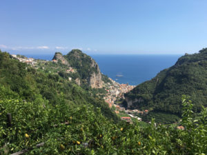 ciao-amalfi-lemons-1