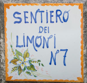 ciao-amalfi-lemons-5