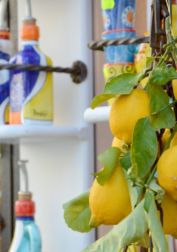 ciao-amalfi-lemons-6