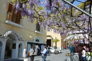 Wisteria in Positano - Spring on the Amalfi Coast