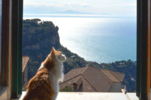 ciao-amalfi-toulouse-feature