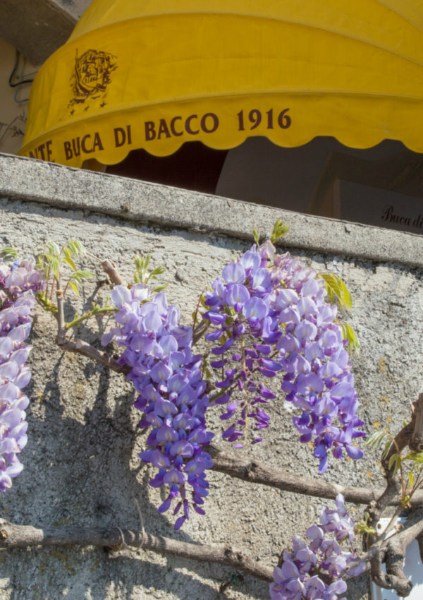 ciao-amalfi-positano-wisteria-1